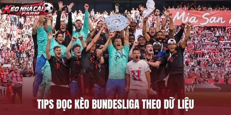 Tips đọc kèo Bundesliga theo dữ liệu