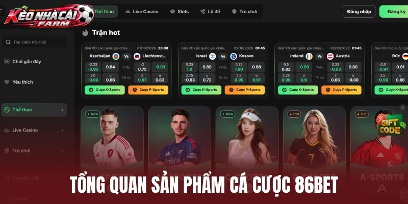 Tổng quan sản phẩm cá cược 86bet