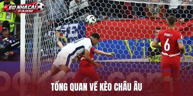 Tổng quan về kèo châu Âu
