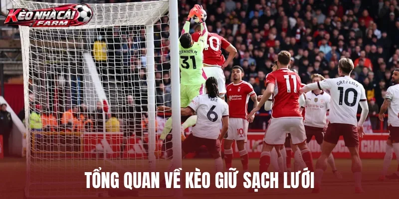 Tổng quan về kèo giữ sạch lưới