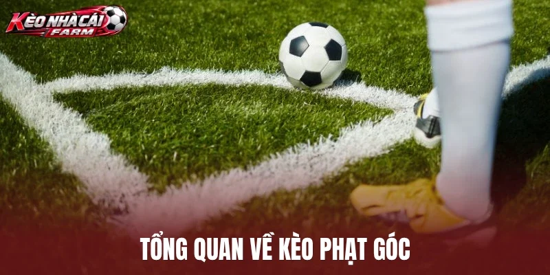 Tổng quan về kèo phạt góc