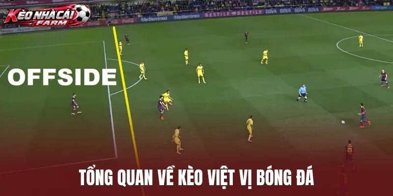 Tổng quan về kèo việt vị bóng đá