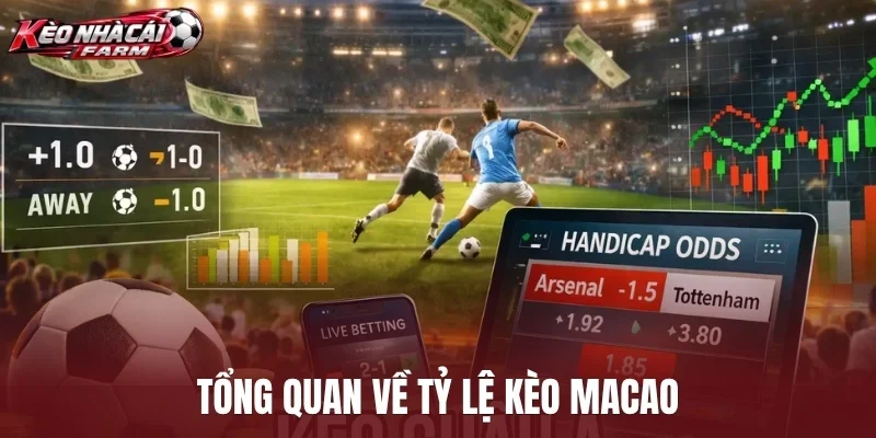 Tổng quan về tỷ lệ kèo Macao