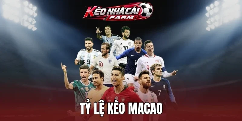 Đọc tỷ lệ kèo Macao đơn giản 