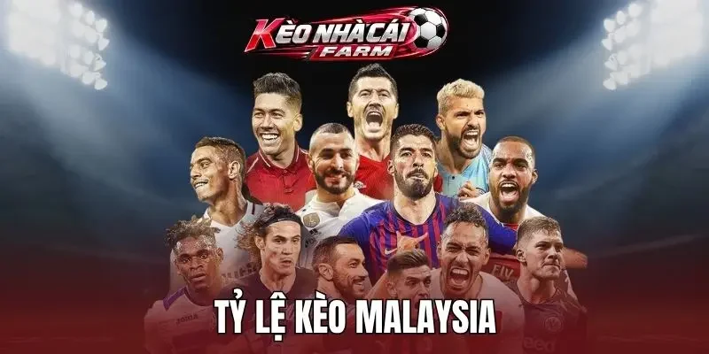 Hạn chế việc chỉ nhìn vào tỷ lệ kèo lợi nhuận cao