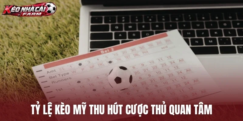 Tỷ lệ kèo Mỹ thu hút cược thủ quan tâm