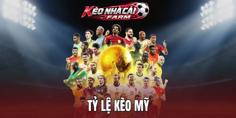 Cách tính tiền kèo Mỹ trong cá cược
