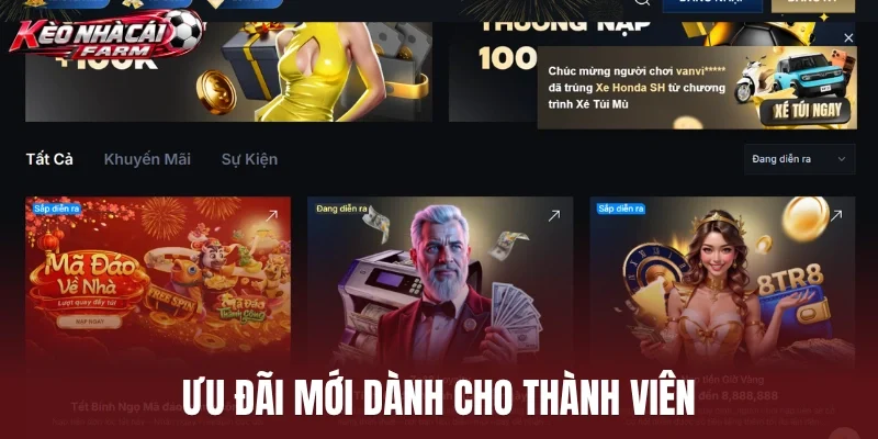 Ưu đãi mới dành cho thành viên