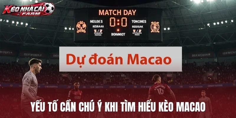 Yếu tố cần chú ý khi tìm hiểu kèo Macao